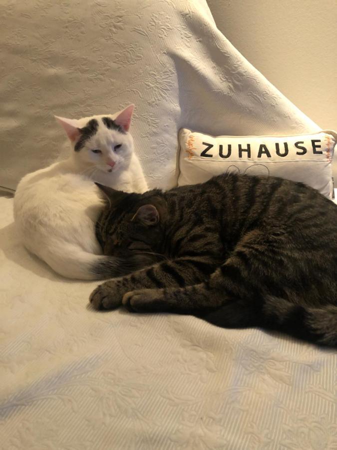 Ferienwohnung Stilvoll Urlaub machen! Dudenhofen Exterior foto